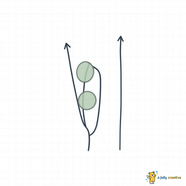 Creating the Leaves-2