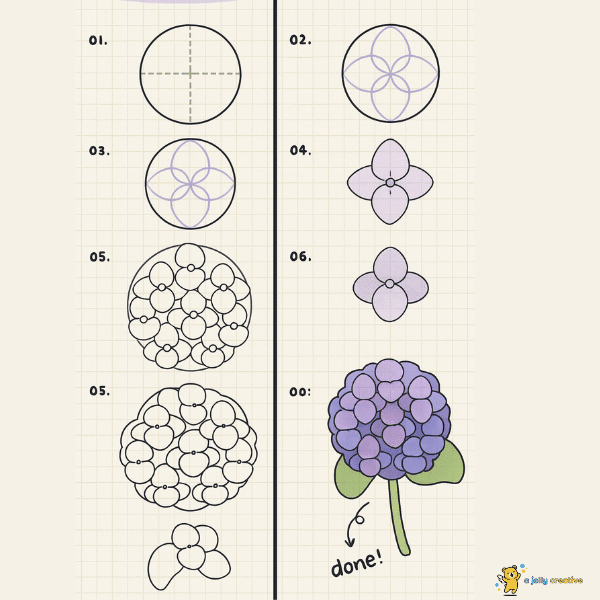 How to Draw an Hydrangea-2