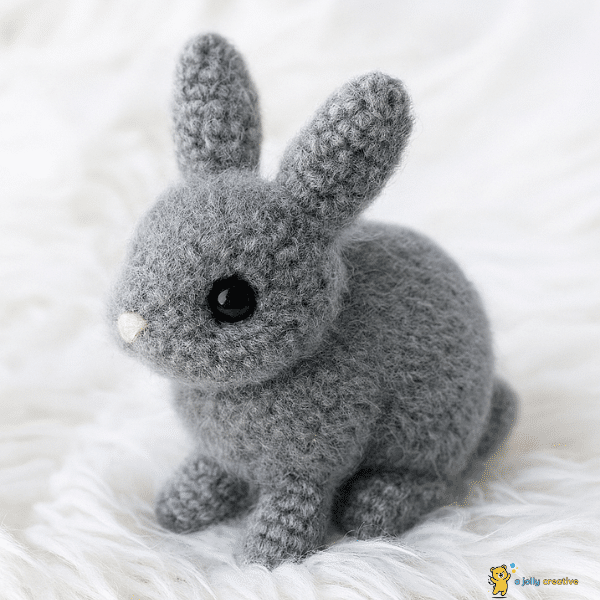 Pygmy Rabbit