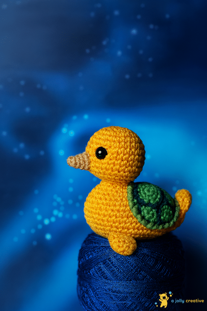 Turtle Duck